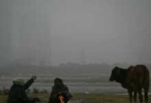 India Weather: Delhi wakes up to a icy Sunday morning, dense fog engulfs North India; Take a look at beefy forecast