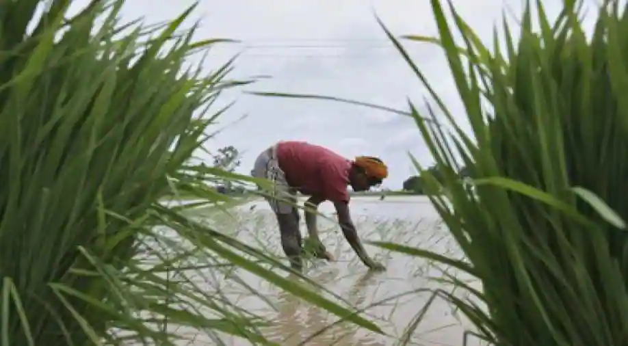 Amazon, Microsoft, Cisco amongst tech giants to utilise recordsdata from India’s farmers