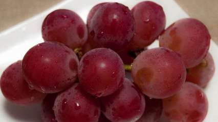 Factual one bunch of those top rate grapes in Japan can designate up to Rs 35,000