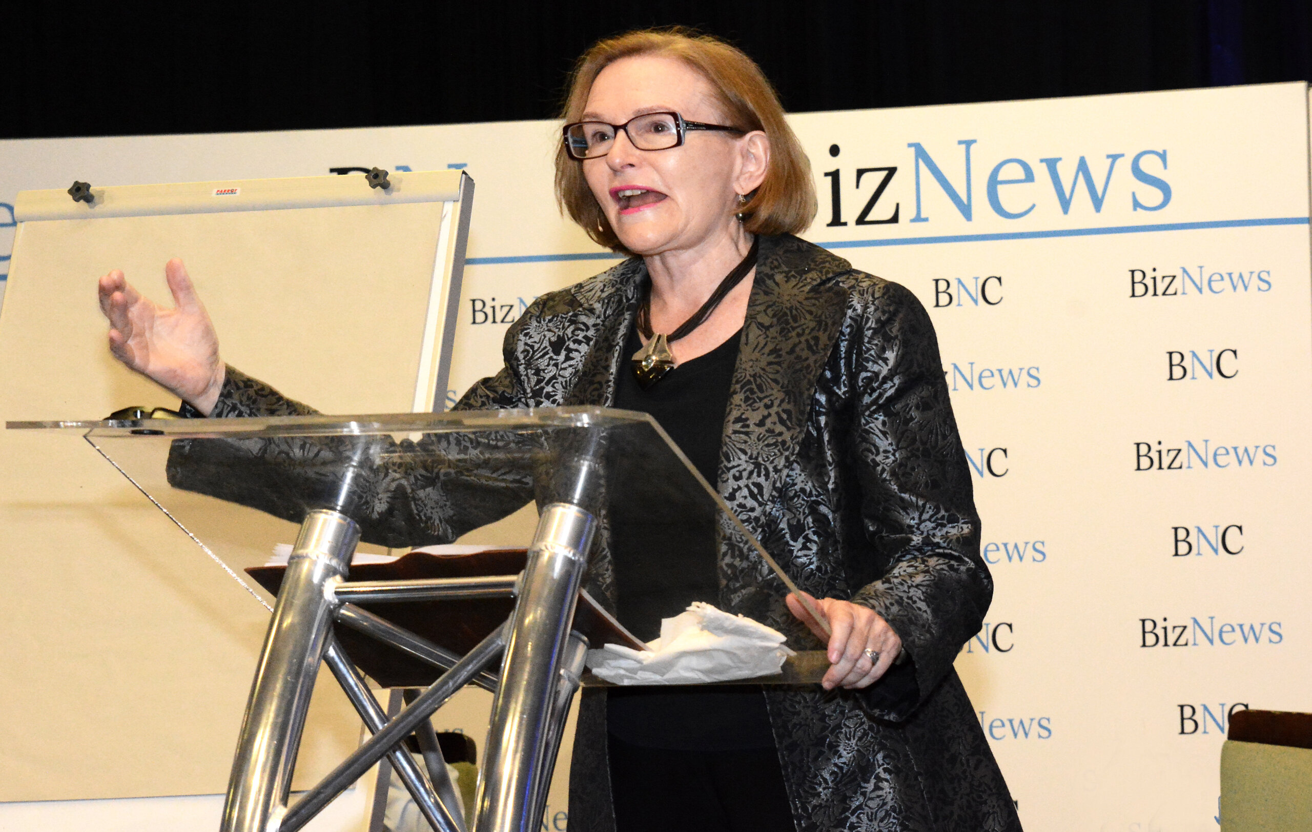 Helen Zille’s ‘levers and fulcrums’ approach for 2024