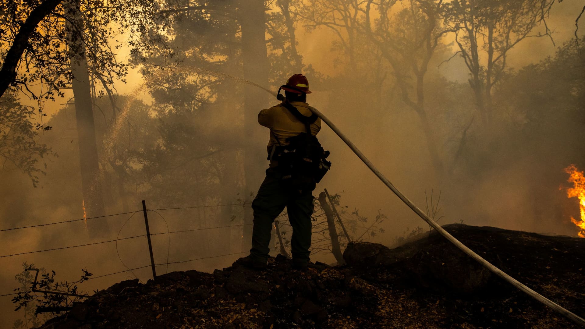 Narrate Farm to cease accepting homeowners insurance coverage applications in California due to wildfires, constructing costs