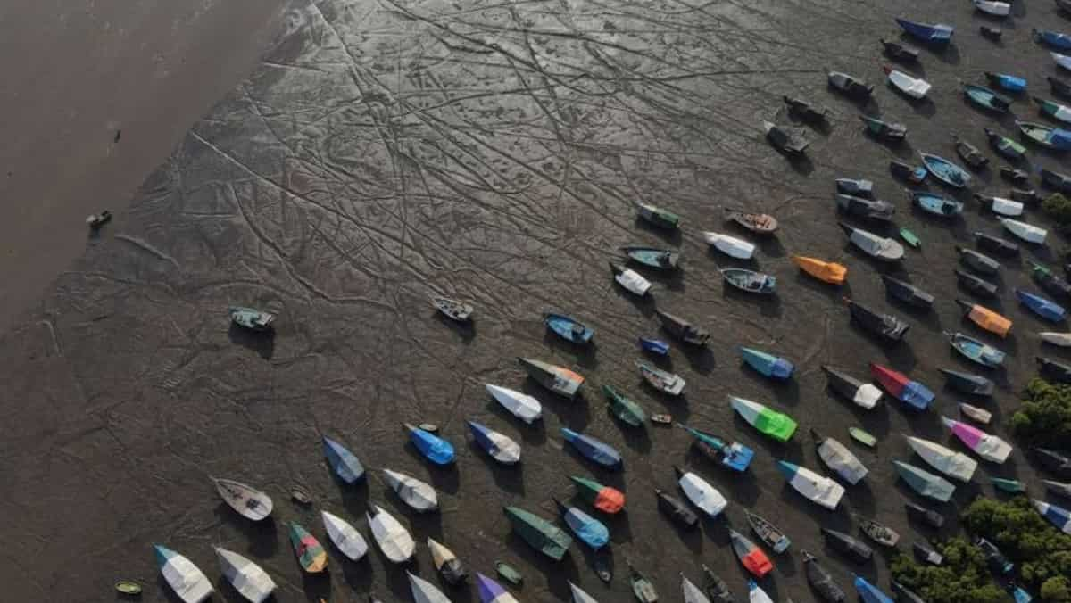 Cyclone Biparjoy: India’s coastal states on excessive alert as storm intensifies