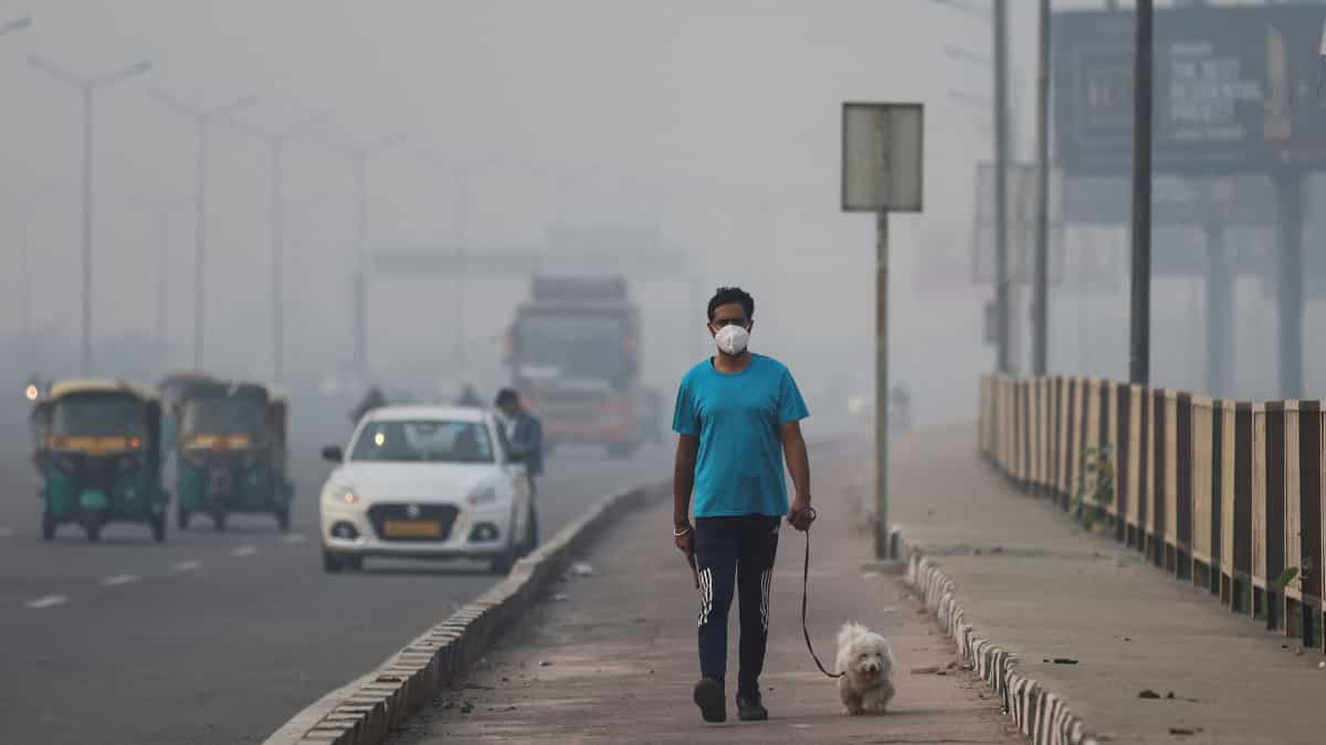 Delhi air pollution: No unfamiliar-even rule to get back into enact in India’s nationwide capital