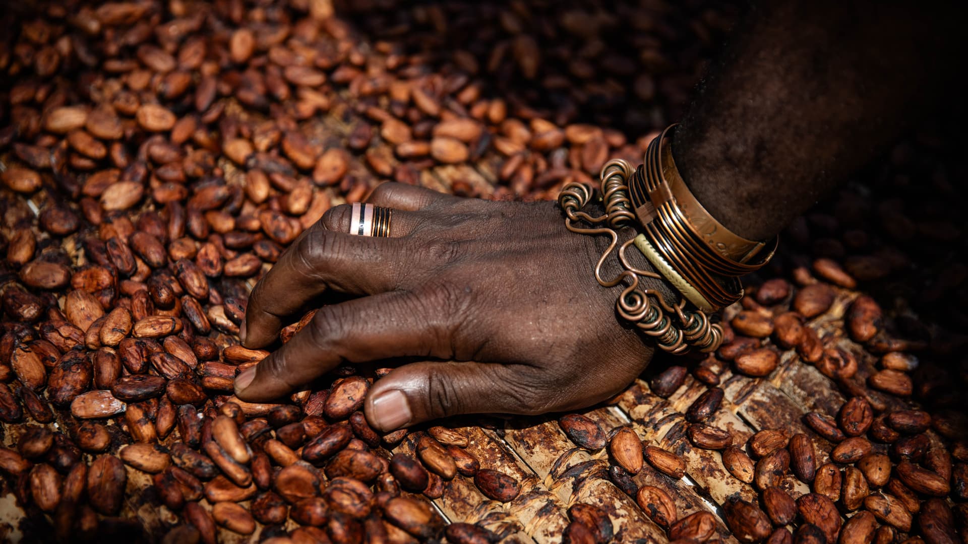 Cocoa prices surge to all-time highs as contaminated weather hurts West Africa chop yield