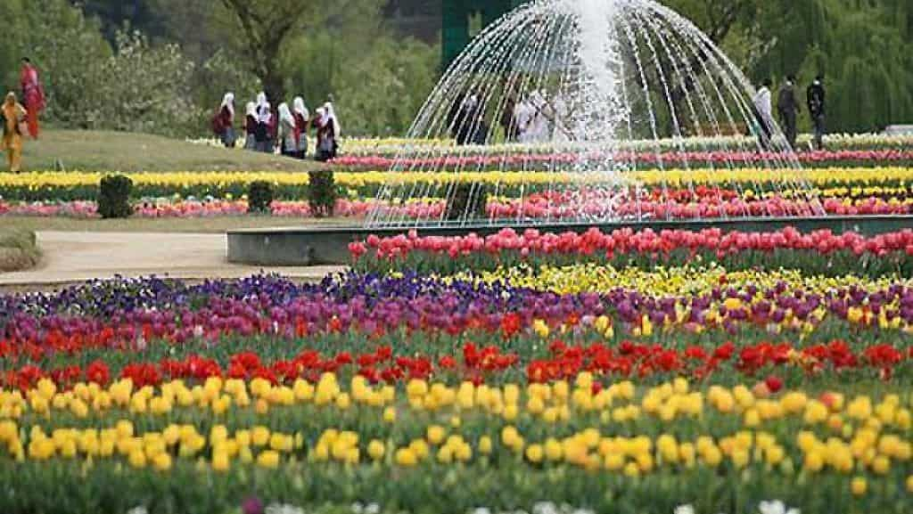 Election consciousness marketing campaign held in Asia’s largest tulip backyard in Srinagar