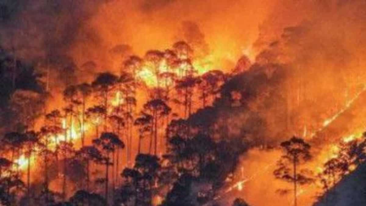 India’s high court slams ‘lackadaisical’ plot of Uttarakhand govt in tackling forest fires
