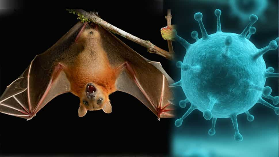 Nipah outbreak suspected in India’s Kerala, health minister convenes high-stage meet