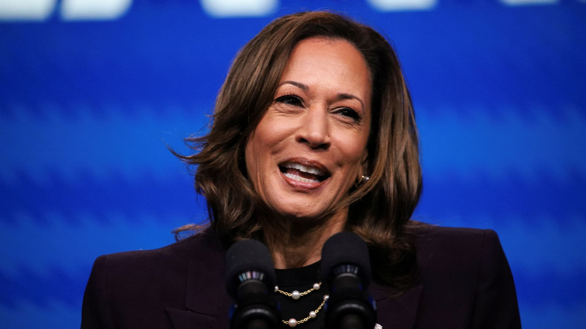 Kamala Harris debuts legitimate TikTok tale as presidential campaign picks up