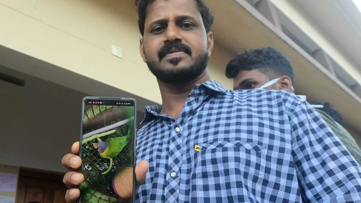 Right here’s how a pet parrot saved many from the Wayanad landslide